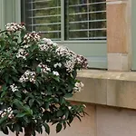 Hébergement de vacances 2 Bed In Oc-w452
