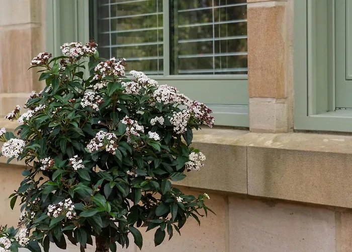 Holiday home 2 Bed In Oc-w452