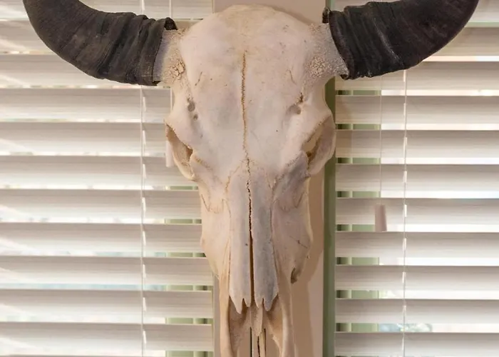 2 Bed In Oc-w452 Holiday home